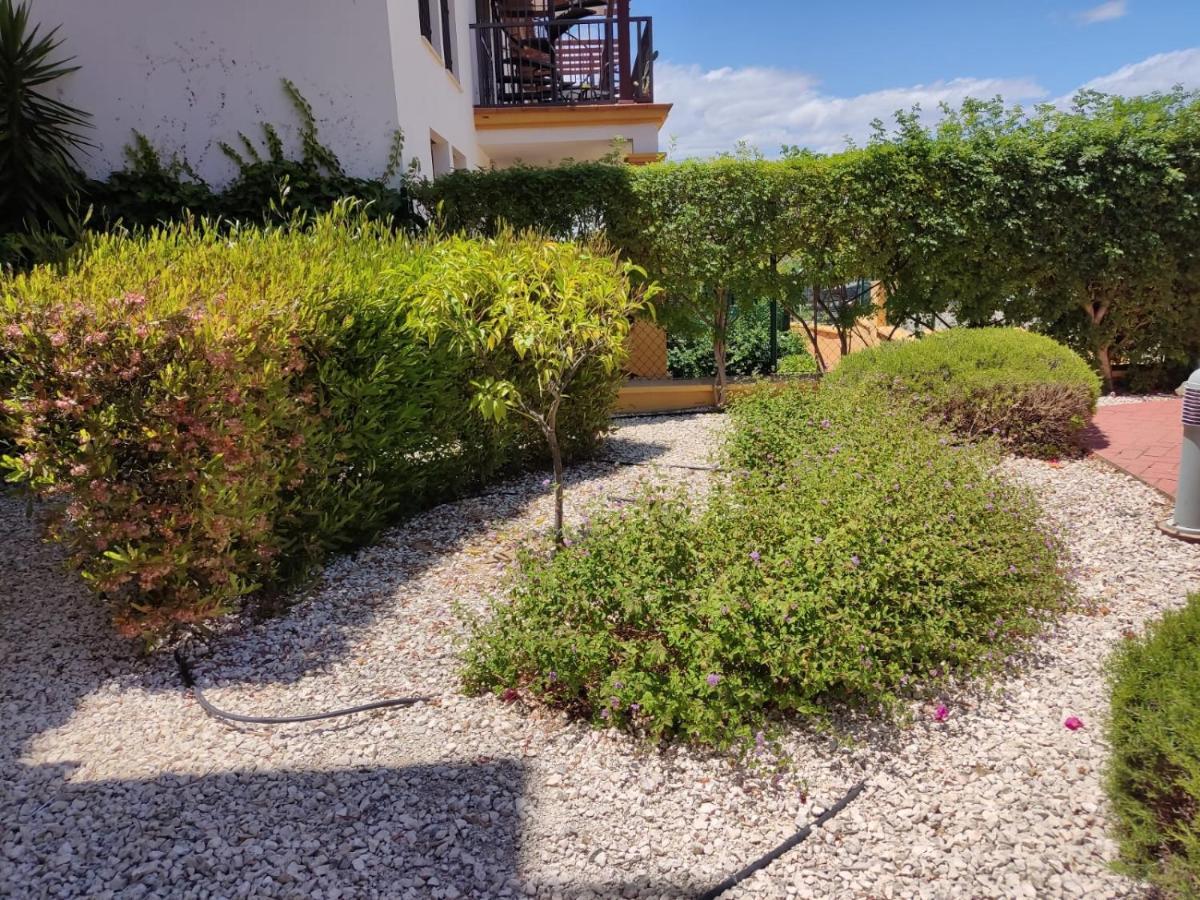 Apartamento Completo Con Piscina Comunitaria Y Patio Exterior アヤモンテ エクステリア 写真