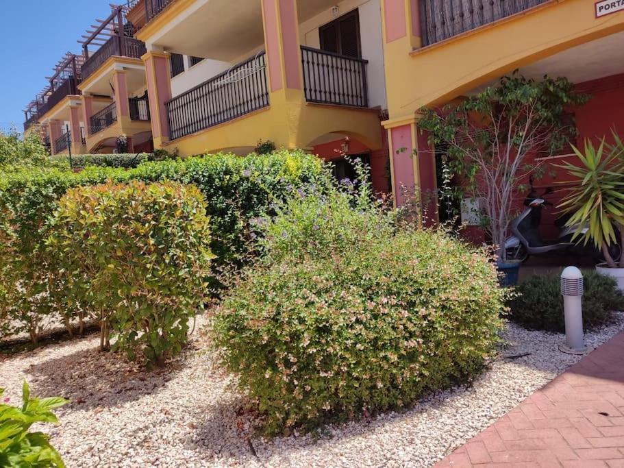 Apartamento Completo Con Piscina Comunitaria Y Patio Exterior アヤモンテ エクステリア 写真