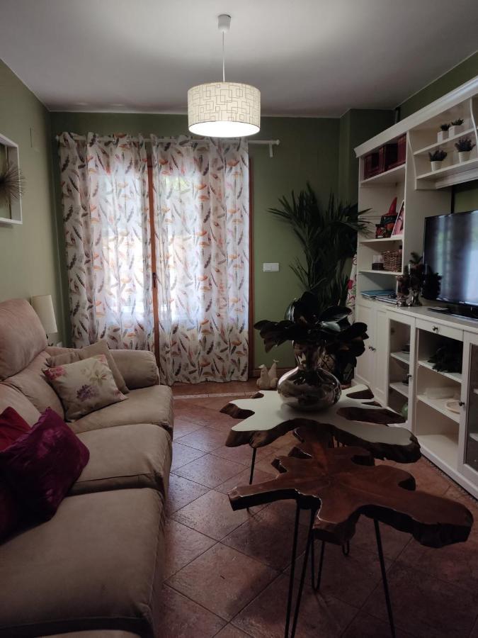 Apartamento Completo Con Piscina Comunitaria Y Patio Exterior アヤモンテ エクステリア 写真